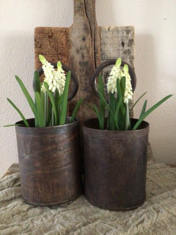 19a5c15a b405 471c 982e 7f347bb4e040