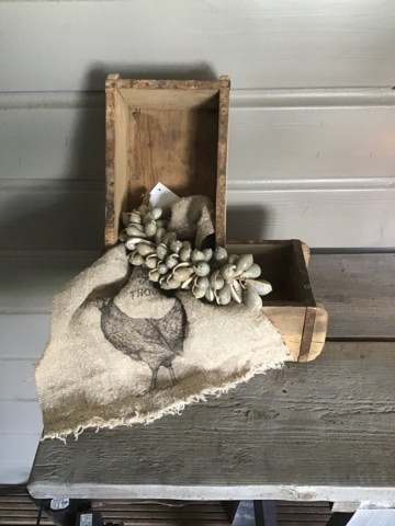 D2ed2bab eeb0 475a 88a0 22ee6b5357e8